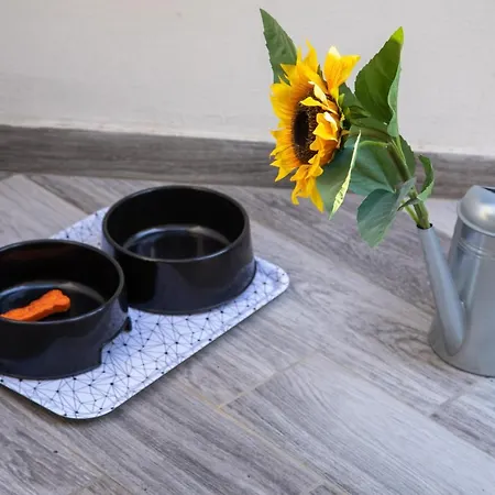 Donna Carmen アパート