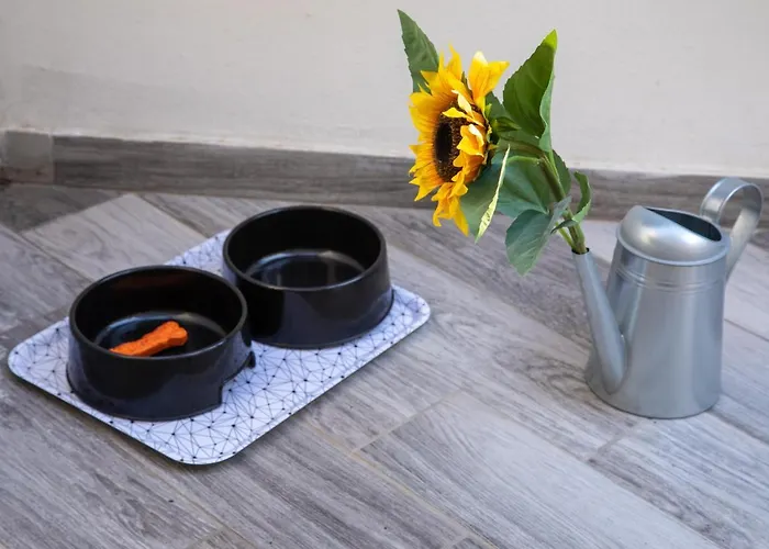 Donna Carmen Appartement