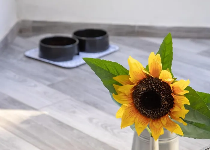 Donna Carmen Appartement