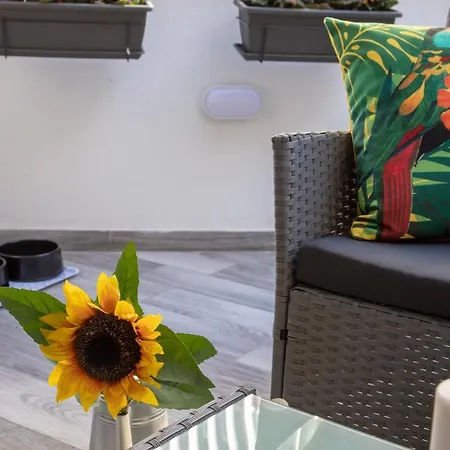 Donna Carmen Apartament